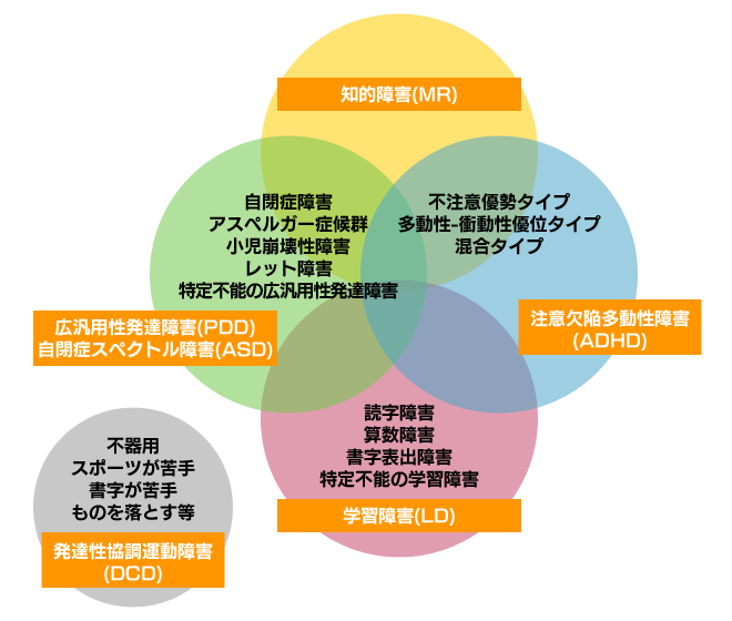 注意 欠陥 障害 子供 病院